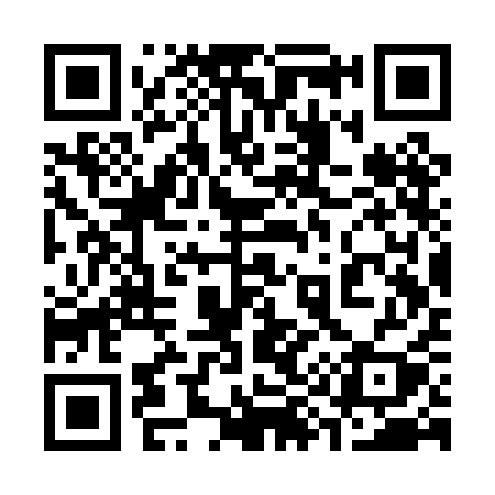QR code for 393PAY