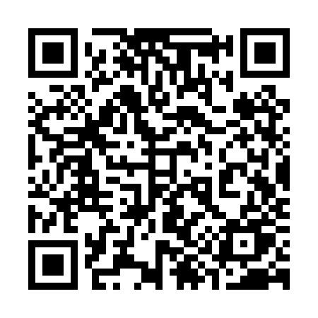 QR code for 393PZU