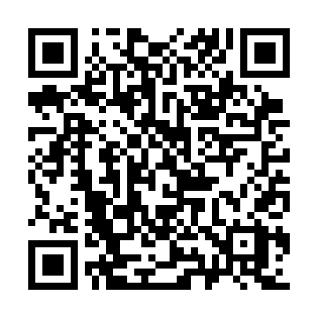 QR code for 393SDX