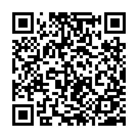 QR code for 393SMU