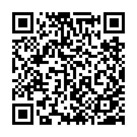 QR code for 393WHU