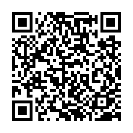 QR code for 393WPP