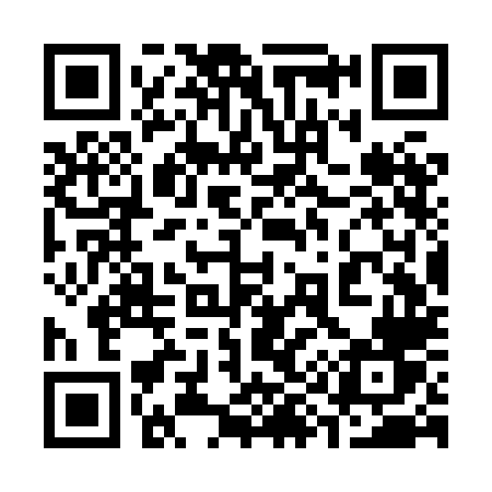 QR code for 393XLV
