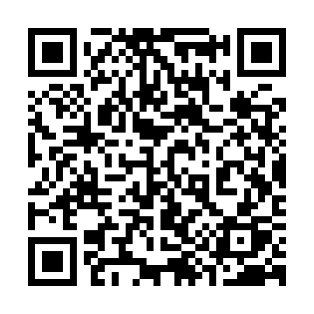 QR code for 393YSP