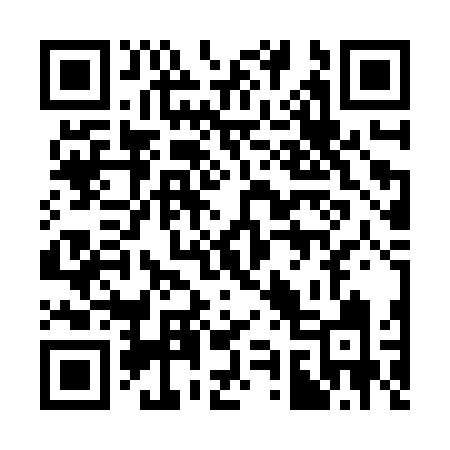 QR code for 393ZVI