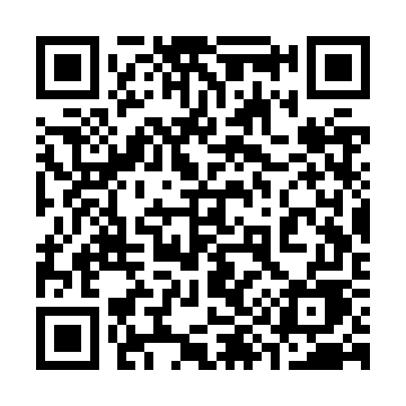 QR code for 393ZWE