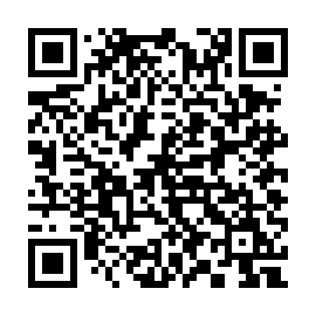 QR code for 394DEM