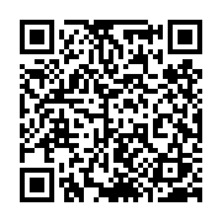 QR code for 394DSS