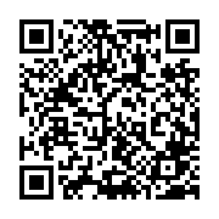 QR code for 394NTV