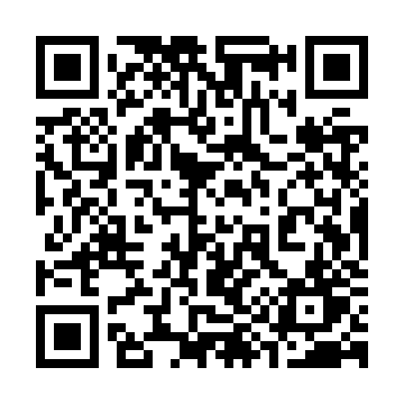 QR code for 395ZZT