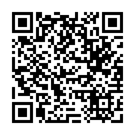 QR code for 397AVN