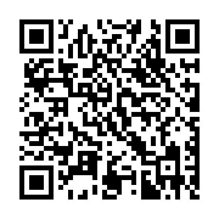 QR code for 397HLI