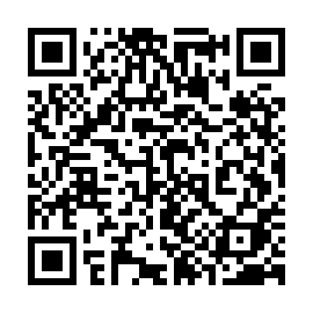 QR code for 397HPI
