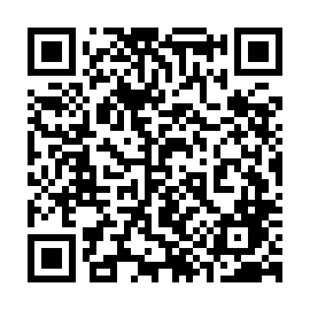 QR code for 397ILD