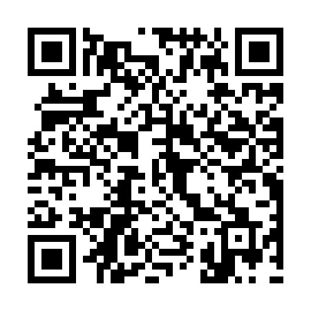 QR code for 397IRQ