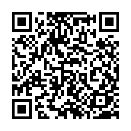 QR code for 398HYP