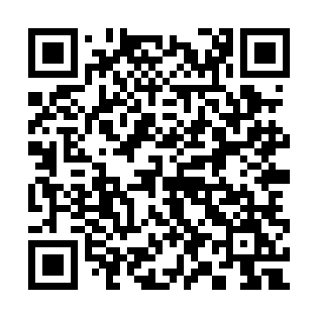 QR code for 398PLM