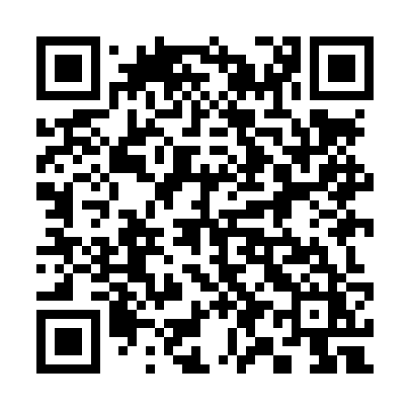 QR code for 399LZZ