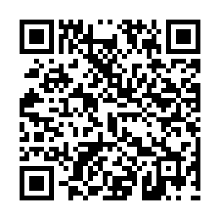 QR code for 401MSX