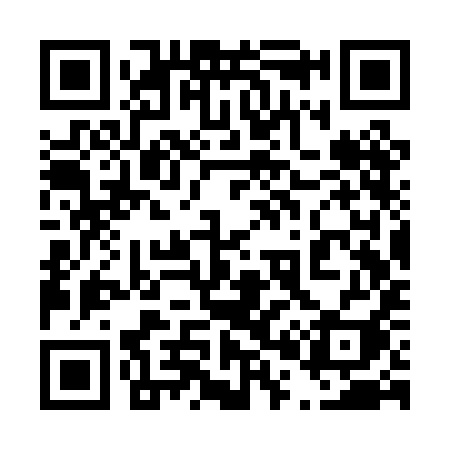 QR code for 403PII