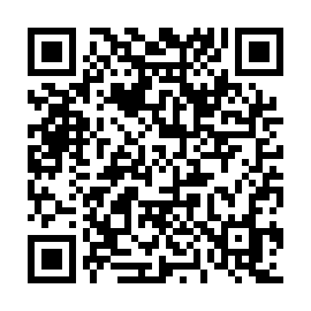 QR code for 403QCO