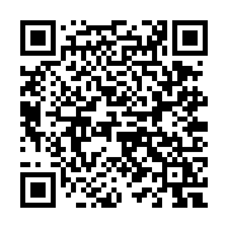 QR code for 410TOY