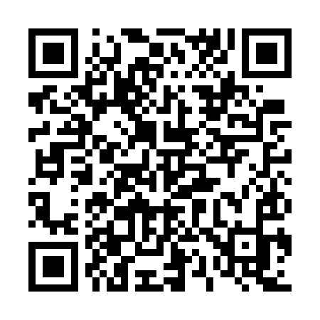 QR code for 411GYK