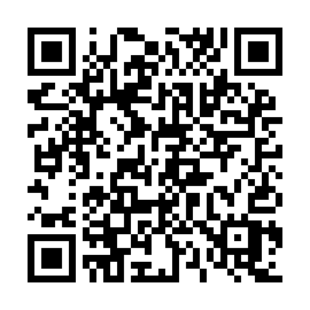 QR code for 411IAW