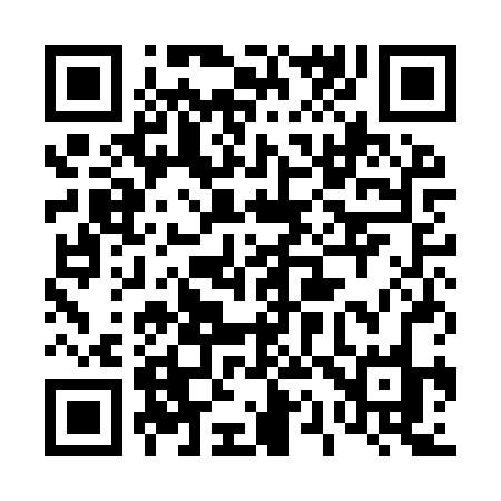 QR code for 411IRO