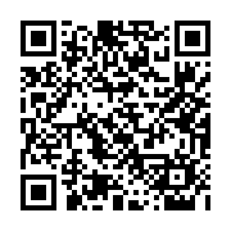QR code for 411LUO