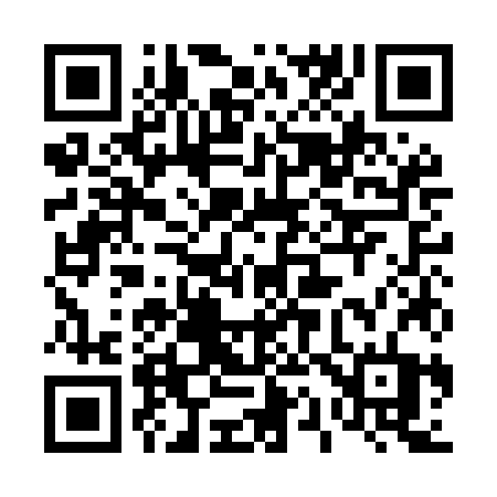 QR code for 411MJT