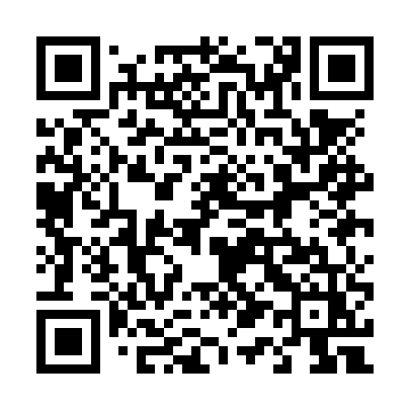QR code for 411NUZ