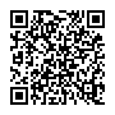 QR code for 411OCO