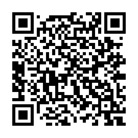 QR code for 411PIN