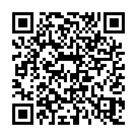 QR code for 411QAQ