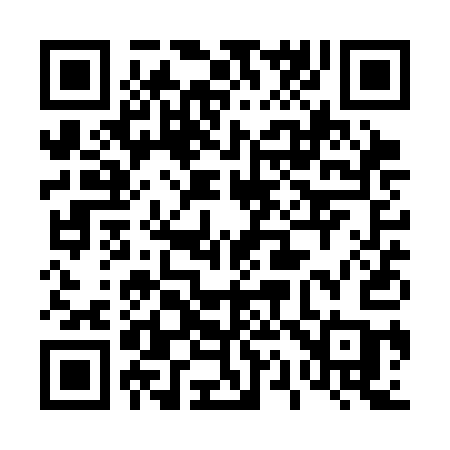 QR code for 411SAC