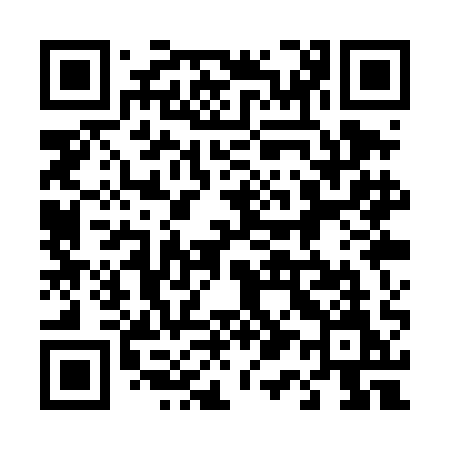 QR code for 411TAM