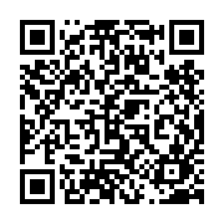 QR code for 411TAN