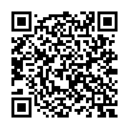 QR code for 411UDI
