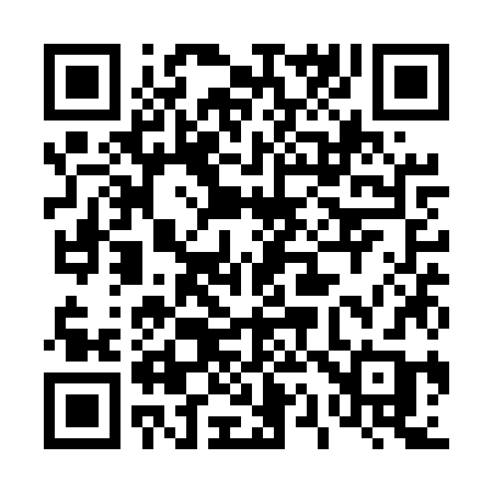 QR code for 411UZB