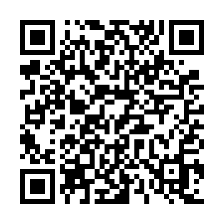 QR code for 411VAO