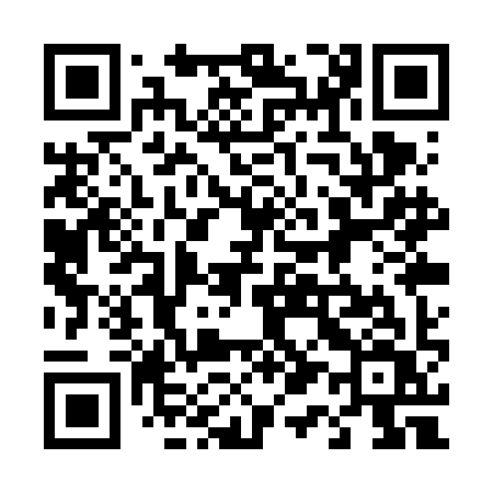 QR code for 411VIV