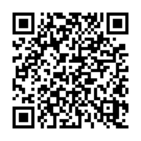 QR code for 411VLX