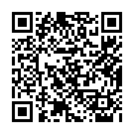 QR code for 411VSR