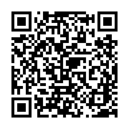 QR code for 411WNC