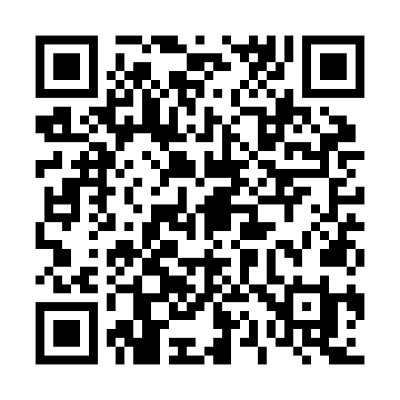 QR code for 411ZNI
