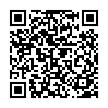 QR code for 413PUP