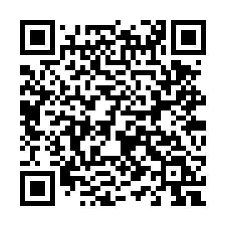 QR code for 413TRL