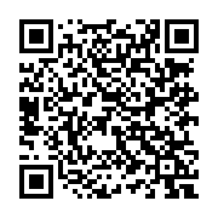 QR code for 419LNG