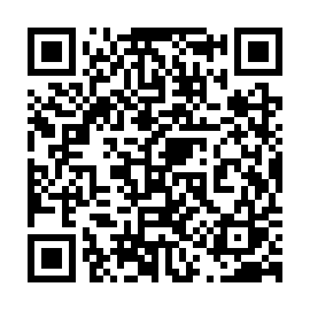 QR code for 419SQS
